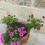 La Casetta Cavallino di Lecce