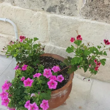 La Casetta Cavallino di Lecce